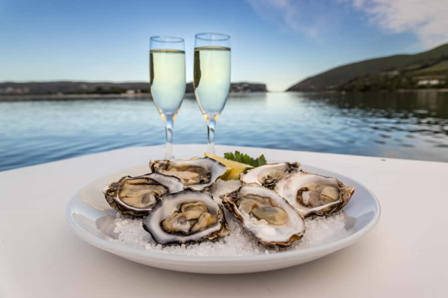 Knysna: Knysna Lagoon Pontoon Boat Cruise - The skipper’s commentary adds useful context