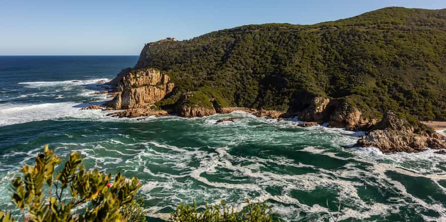 Knysna: Knysna Lagoon Pontoon Boat Cruise - Who will enjoy this cruise most