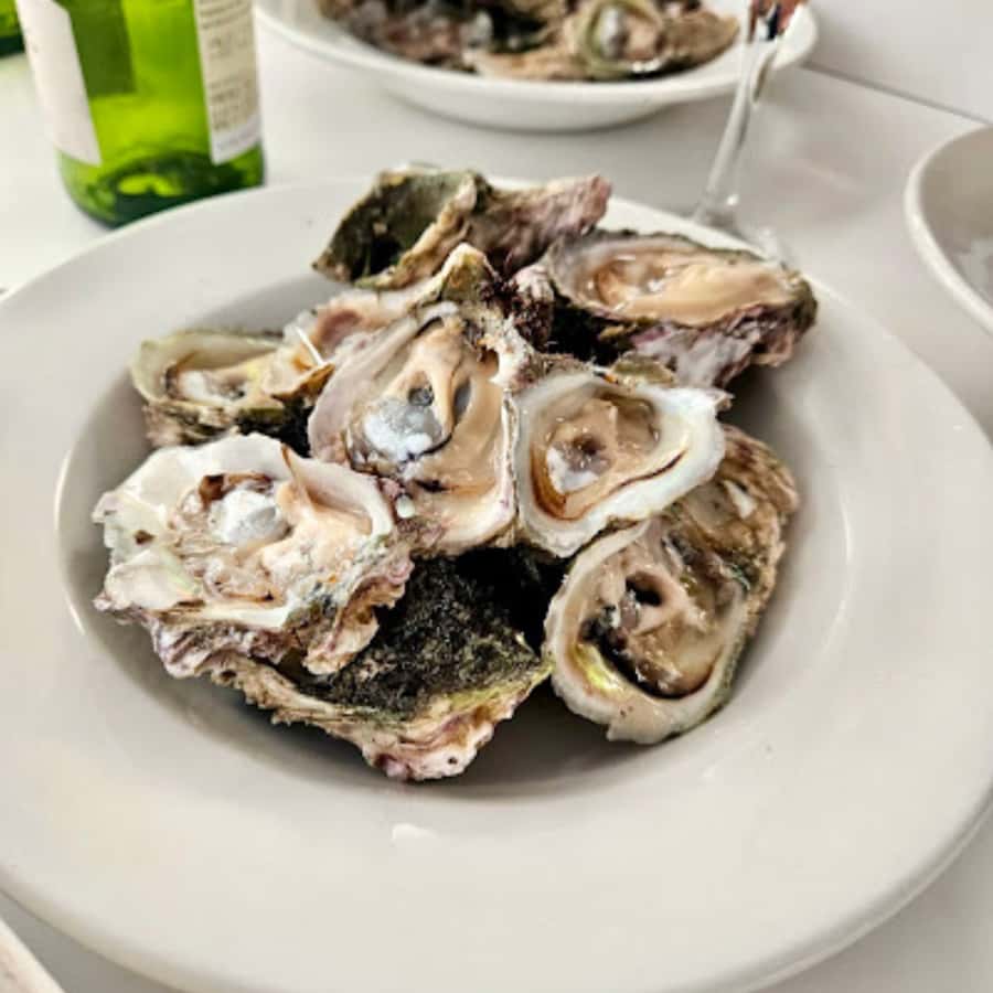Knysna Lagoon: Boat Cruise with Oyster & White Wine Tasting - The oyster lesson: wild, cultivated, and local
