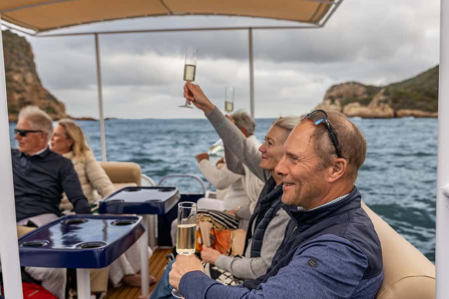 Knysna Lagoon: Pontoon Sunset Cruise - Birdlife, marine life, and the value of a guide