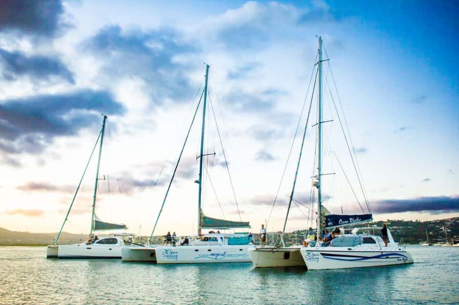 Knysna: Luxury Catamaran Marine Adventure Tour - Key points to know before you book