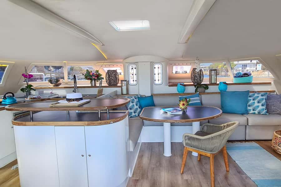 Knysna: Luxury Catamaran Marine Adventure Tour - Final verdict: should you book it?