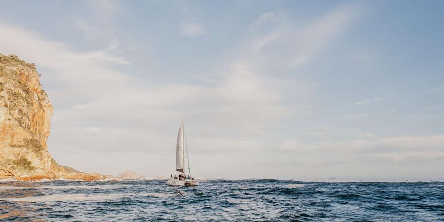 Knysna: Luxury Catamaran Marine Adventure Tour - Is $84 per person good value?
