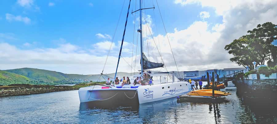 Knysna: Luxury Catamaran Marine Adventure Tour - Who will enjoy this cruise most?