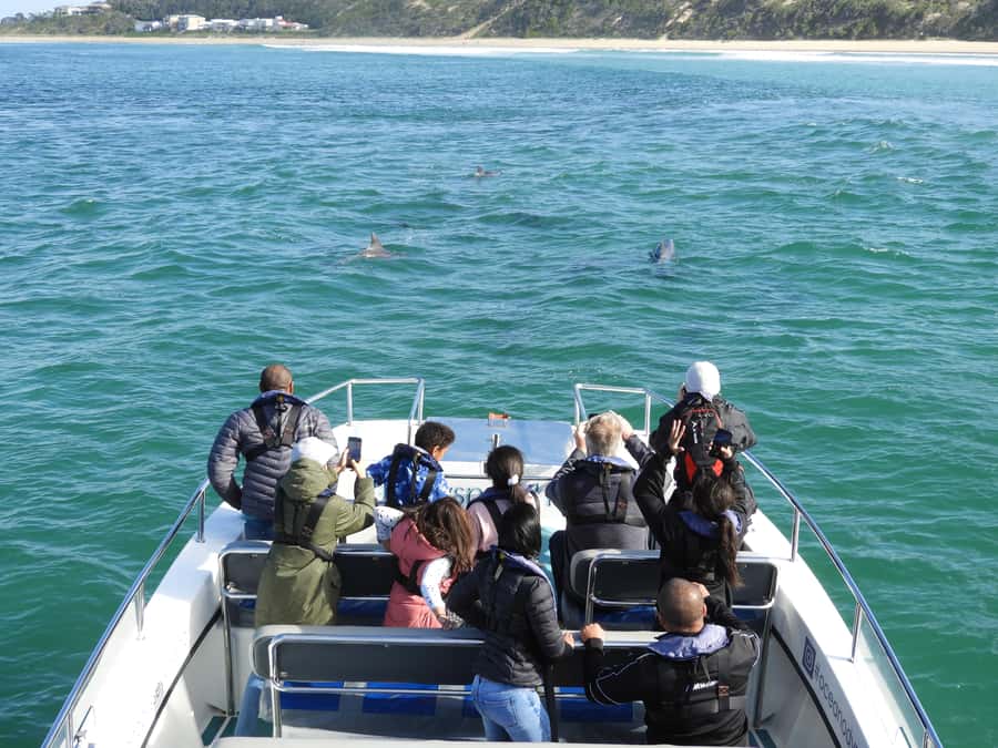 Knysna: Marine Life & Garden Route Coastline Tour - A 90-minute trip with a useful pace