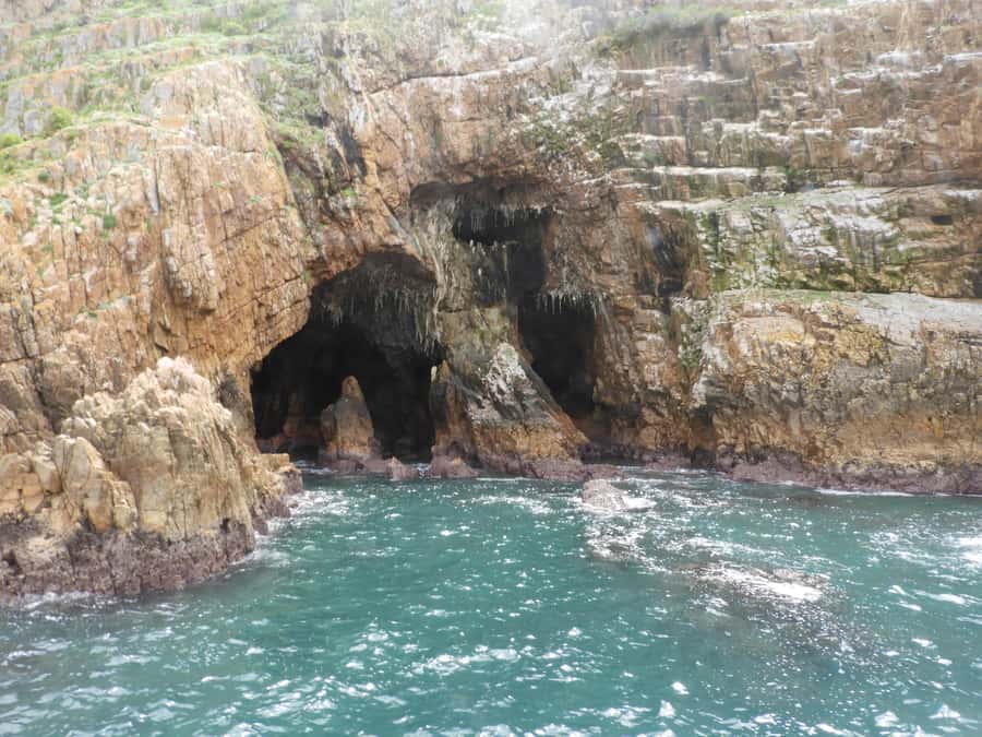 Knysna: Marine Life & Garden Route Coastline Tour - Clothing, comfort, and motion sickness