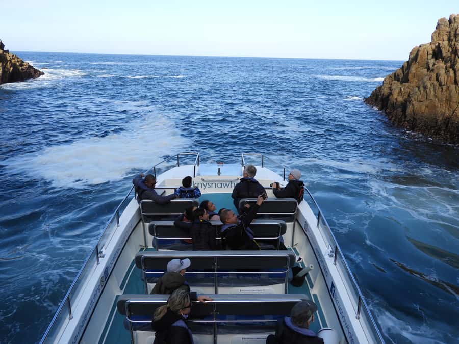 Knysna: Marine Life & Garden Route Coastline Tour - Weather cancellations are part of the deal