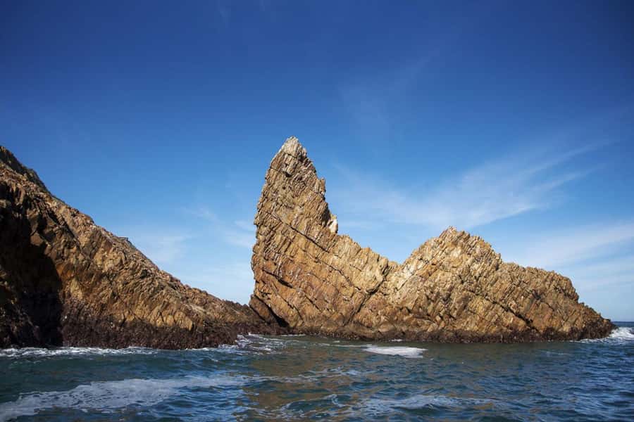 Knysna: Marine Life & Garden Route Coastline Tour - The open-ocean section and marine life