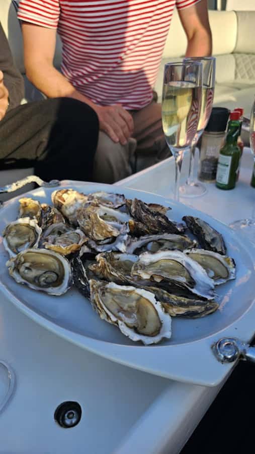 Knysna: Wine & Oyster Luxury Lounger Sunset Cruise - Wine, oysters, and what $46 really includes