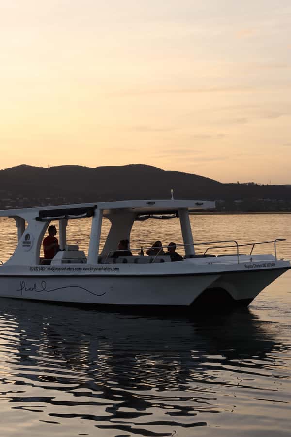 Knysna: Wine & Oyster Luxury Lounger Sunset Cruise - Planning the evening around the cruise