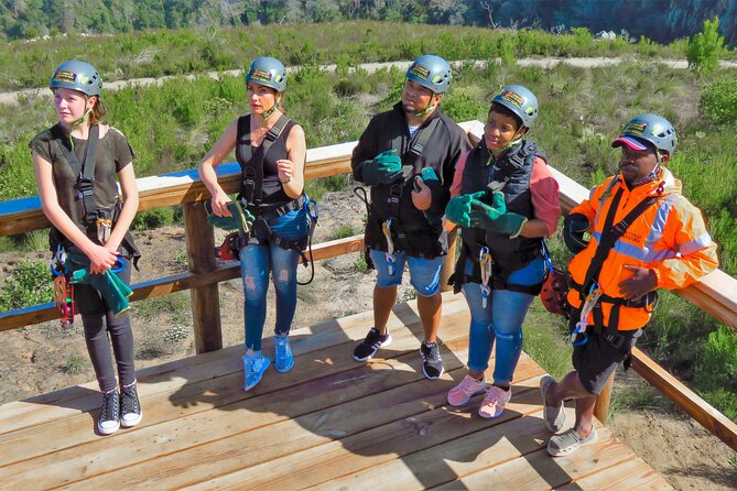 Knysna Ziplines Tour - What the Knysna Ziplines setting is like
