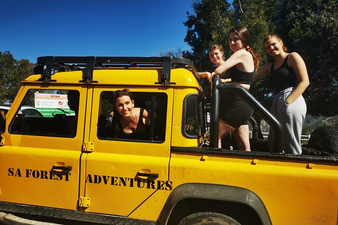 Knysna Ziplines Tour - Safety, family suitability, and the height question