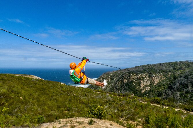Knysna Ziplines Tour - The forest walk adds more than scenery