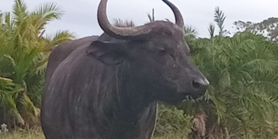 Kragga Kamma Game Park - Who should book this outing?