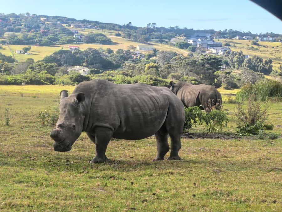 Kragga Kamma Game Park 4x4 & BBQ LUNCH - Who will enjoy this Kragga Kamma outing most?