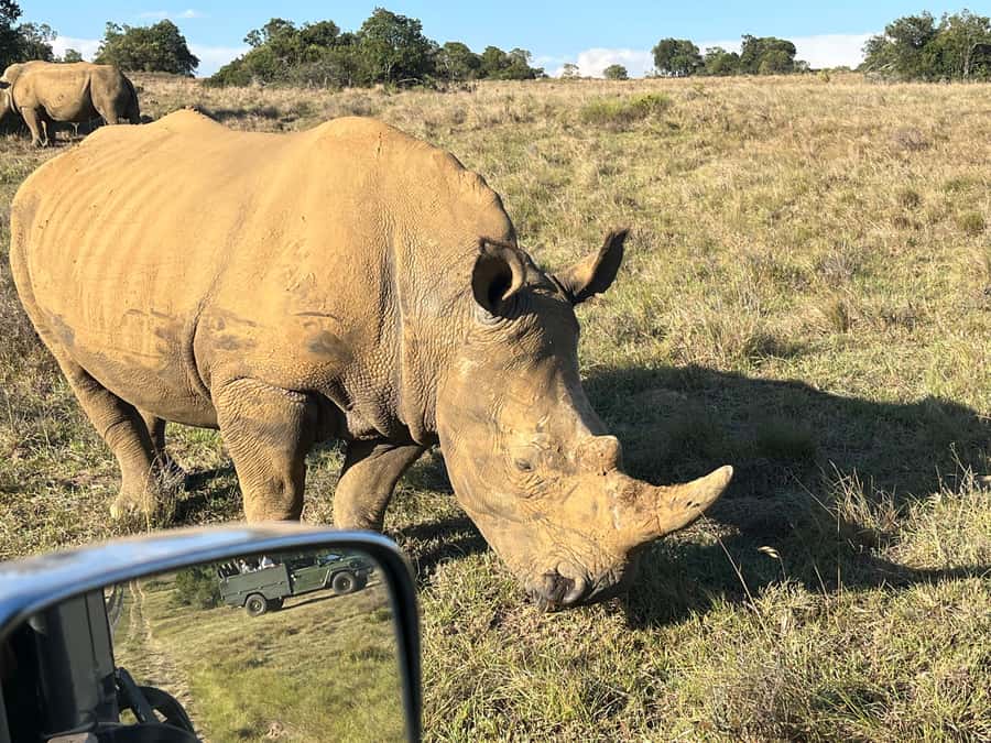 KRAGGA KAMMA GAME PARK - Who will enjoy this game drive?