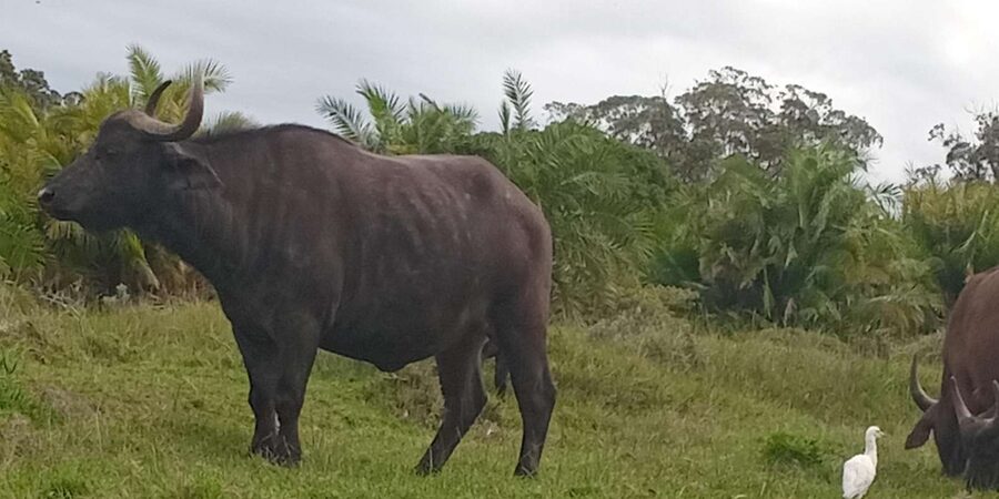 Kragga Kamma Game Park - Snacks are included, but lunch is not