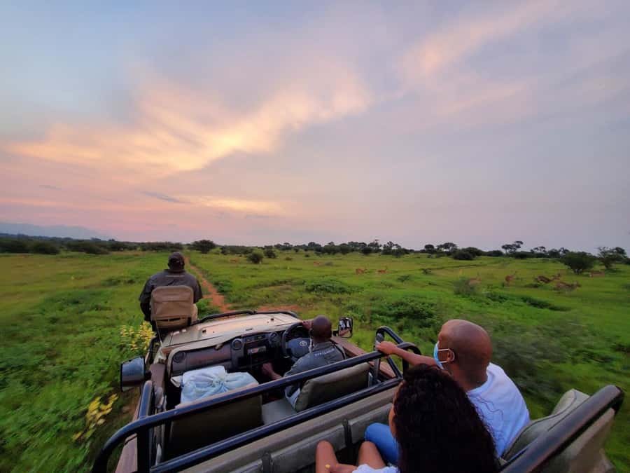 Kruger National Park: 3 Day Safari Tour - Day 2: A full day inside Kruger National Park