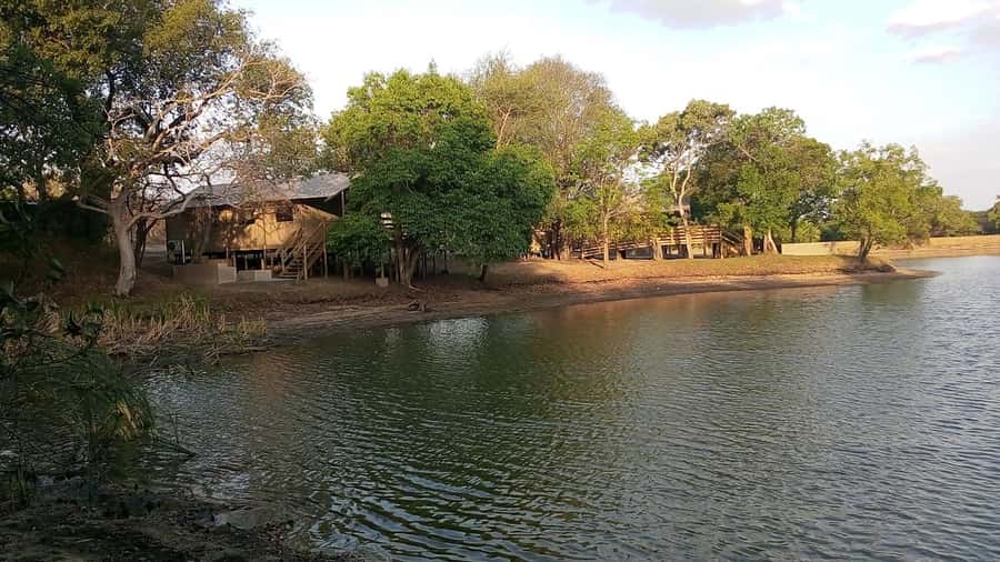 Kruger National Park: 3 Day Safari Tour - Should you book the Kruger three-day safari?