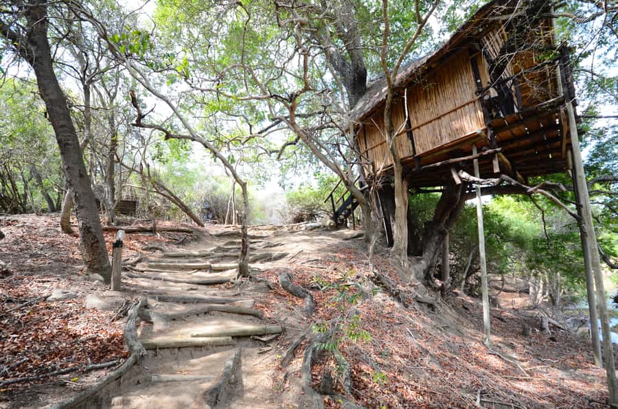 Kruger National Park: 3-Day Safari Tour and Treehouse Stay - What the $890 price really covers