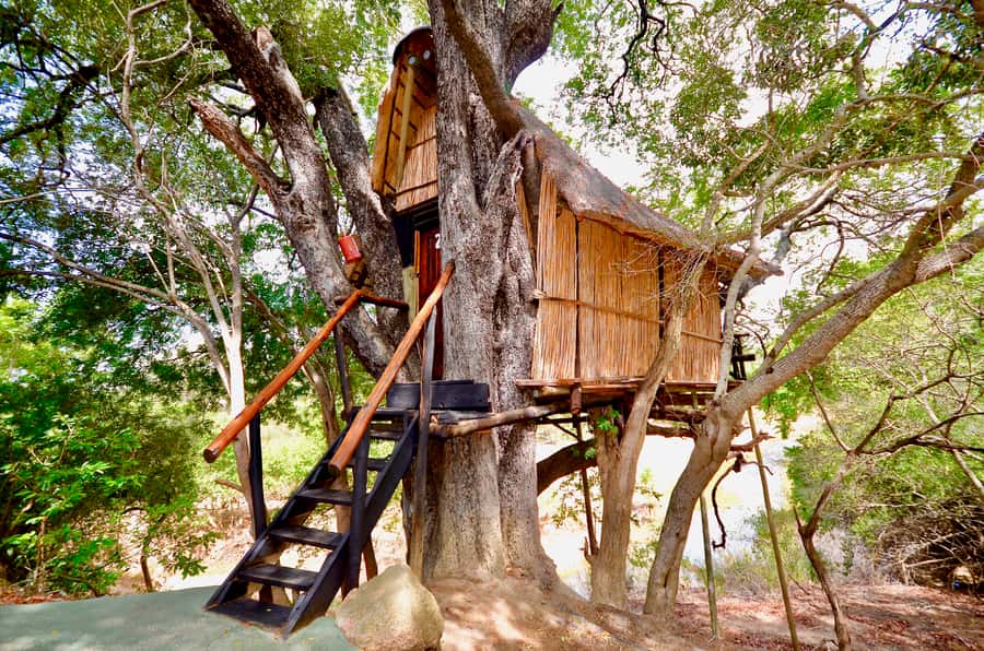 Kruger National Park: 3-Day Safari Tour and Treehouse Stay - Day one: Johannesburg to Balule and the sunset drive