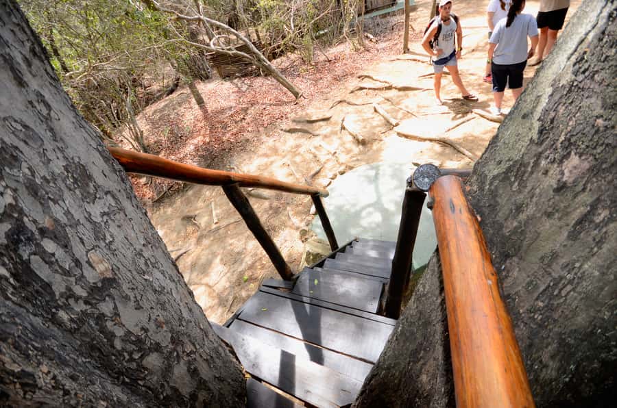 Kruger National Park: 3-Day Safari Tour and Treehouse Stay - Who will get the most from this trip?