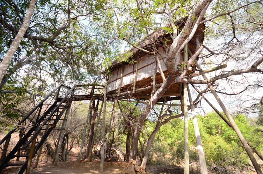 Kruger National Park: 3-Day Safari Tour and Treehouse Stay - Practical timing and booking advice