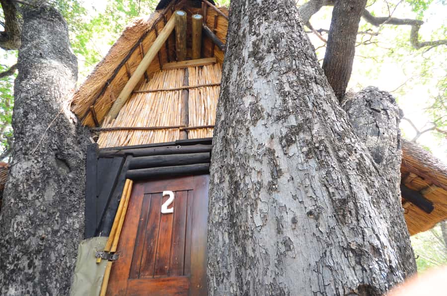 Kruger National Park: 3-Day Safari Tour and Treehouse Stay - Should you book the Kruger treehouse safari?