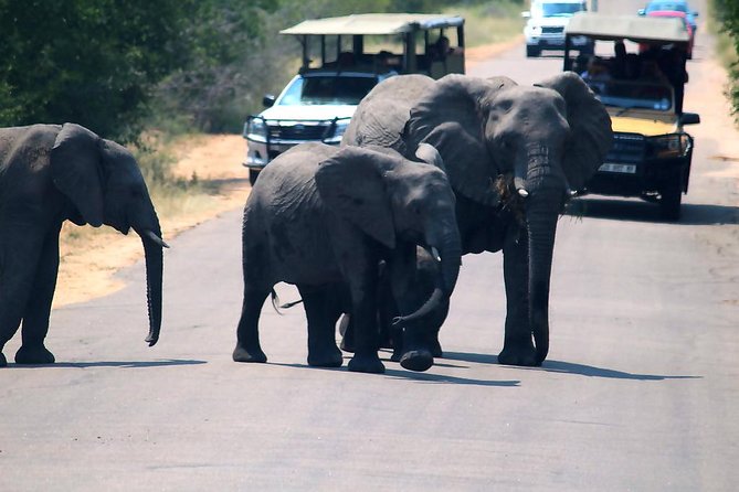 Kruger National Park. 3 Days Best Ever Safari from Cape Town - Tembo Guest Lodge and the overnight setup