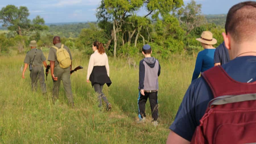 Kruger National Park: 3-Hour Walking Safari - How the price compares with the experience