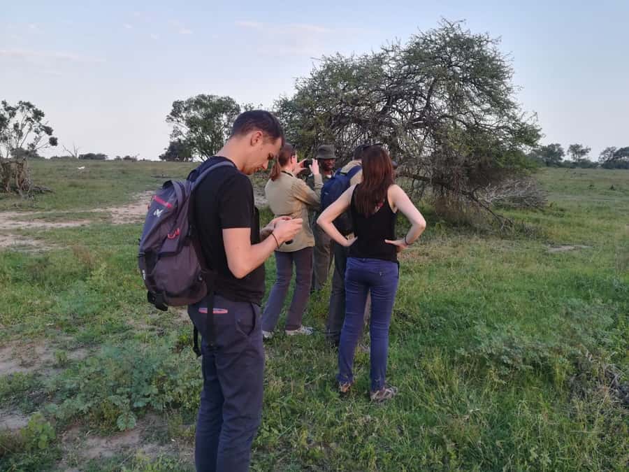 Kruger National Park: 3-Hour Walking Safari - Who will enjoy this Kruger walk most