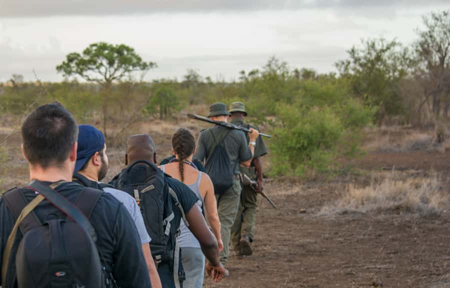 Kruger National Park: 3-Hour Walking Safari - Practical timing concerns to settle first