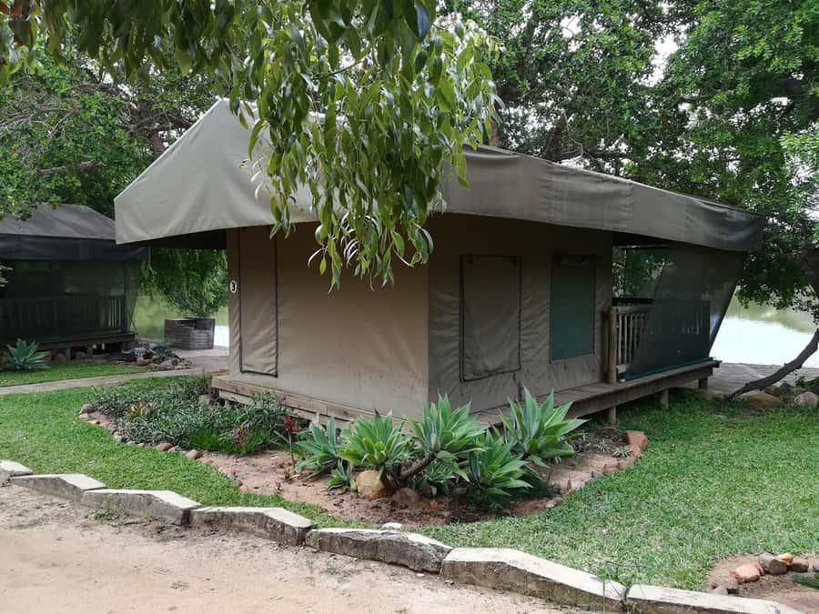Kruger National Park - 4 Day Safari Tour - Day three: a full day inside Kruger National Park