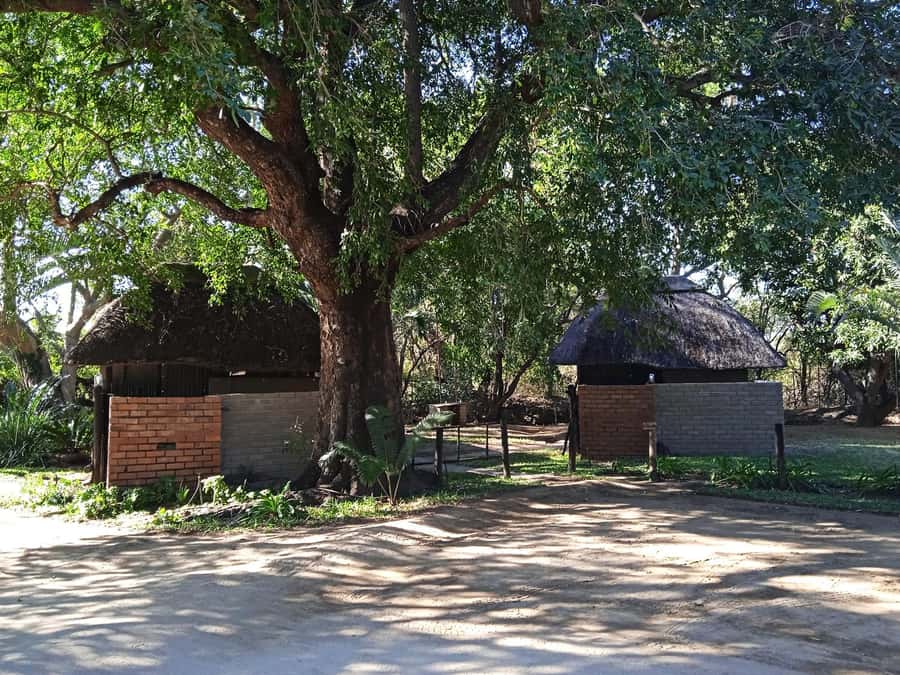 Kruger National Park - 4 Day Safari Tour - Camp comfort, meals, and group size