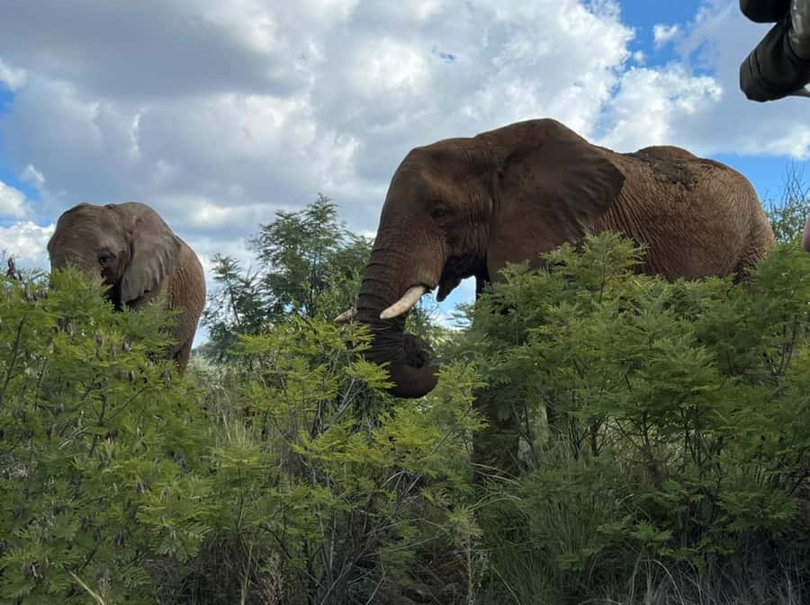Kruger National Park: 4-Day Ultimate Safari Tour - Three lodge nights keep the safari practical