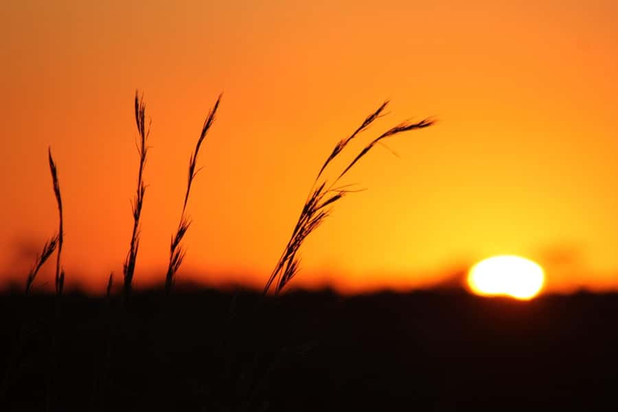 Kruger National Park - 5 Day Safari Tour - Day 2: Your first full day inside Kruger National Park