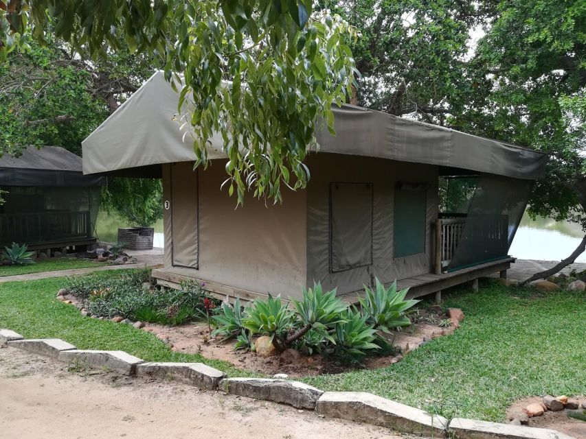 Kruger National Park - 5 Day Safari Tour - Day 4: A second full Kruger safari