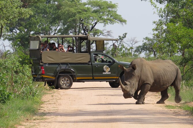 Kruger National Park Afternoon Private safari - Key points to know before you book