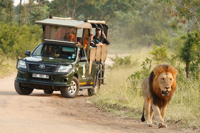 Kruger National Park Afternoon Private safari - A private vehicle changes the feel of the drive
