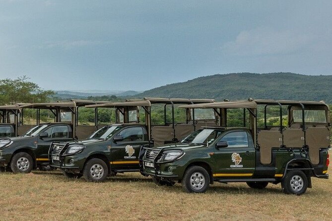 Kruger National Park Afternoon Private safari - Price, park fees, and what you actually receive