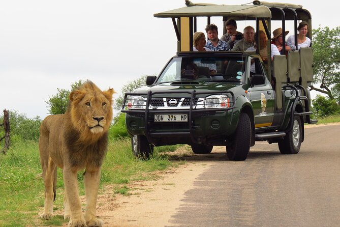 Kruger National Park Afternoon Private safari - Practical advice for your five hours