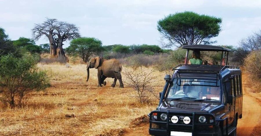 Kruger National Park & Blyde River Canyon 4 Day Safari - Key points to know before booking