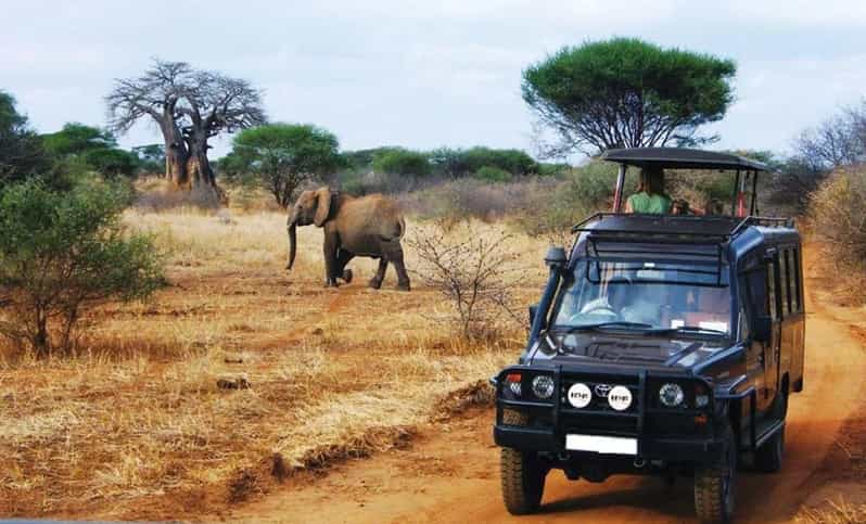 Kruger National Park & Blyde River Canyon 4 Day Safari - Day four: villages, local contact, and the road back