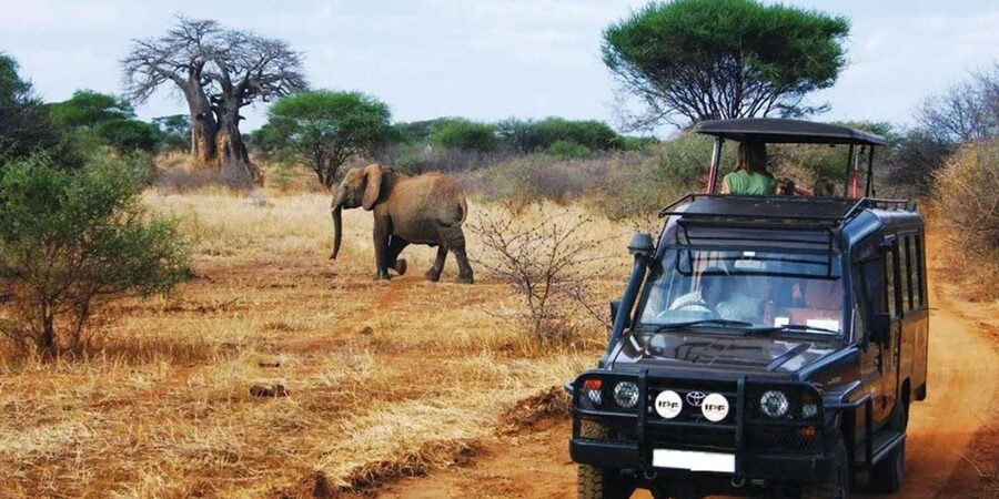 Kruger National Park & Blyde River Canyon 4 Day Safari - The sunset safari: your first look at Kruger