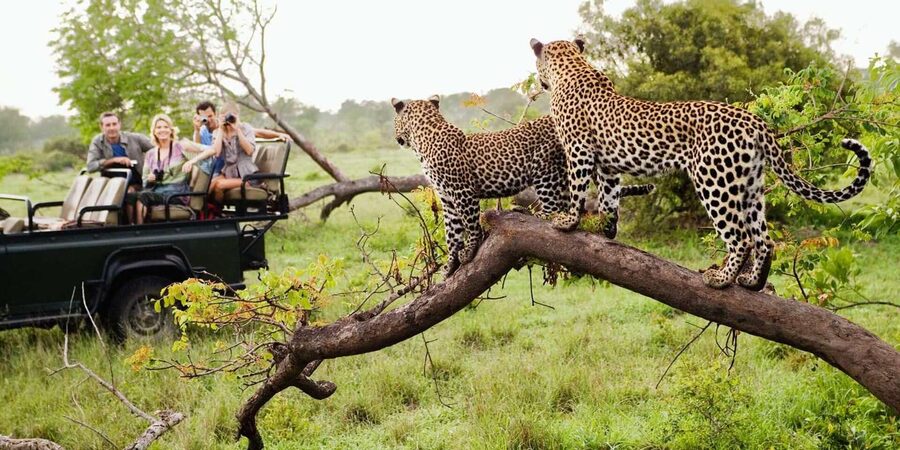 Kruger National Park & Blyde River Canyon 4 Day Safari - Day three: God’s Window and the upper canyon views