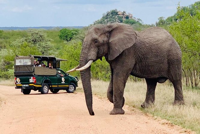 Kruger National Park Full Day Private safari - Key points at a glance