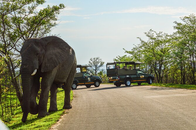 Kruger National Park Full Day Private safari - Why the private Kruger format matters