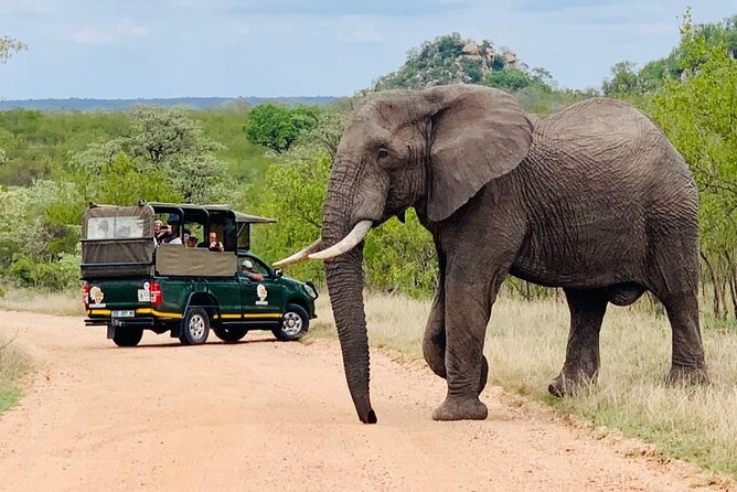 Kruger National Park Full Day Private safari - Guides who shape the experience
