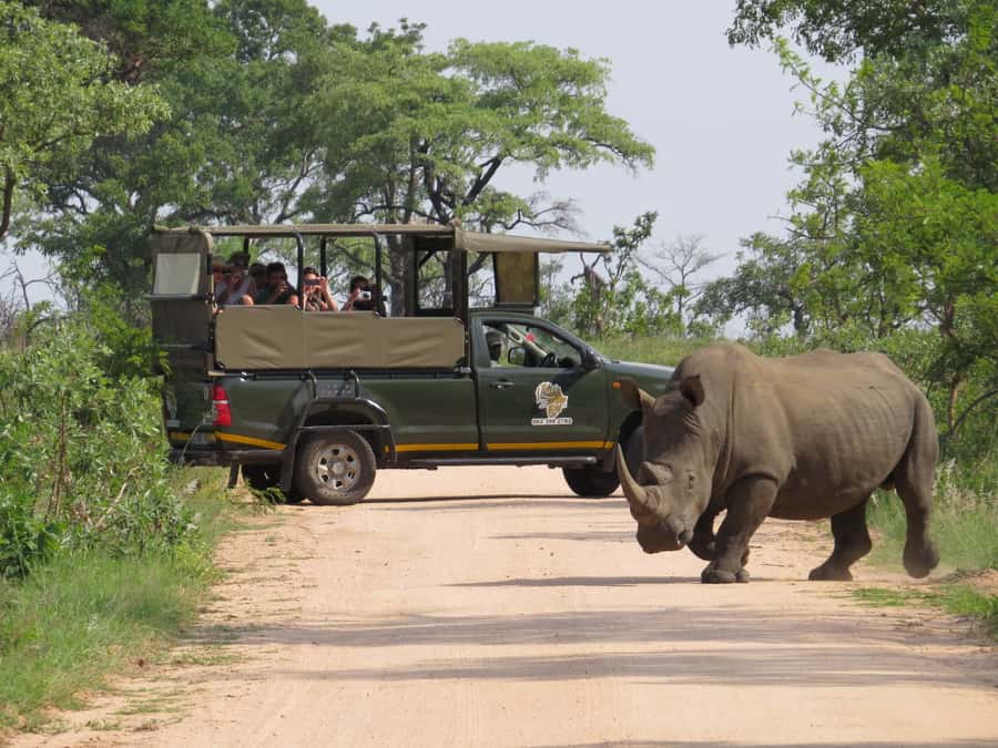 Kruger National Park: Full-Day Private Safari With Pickup - Key points to know before booking