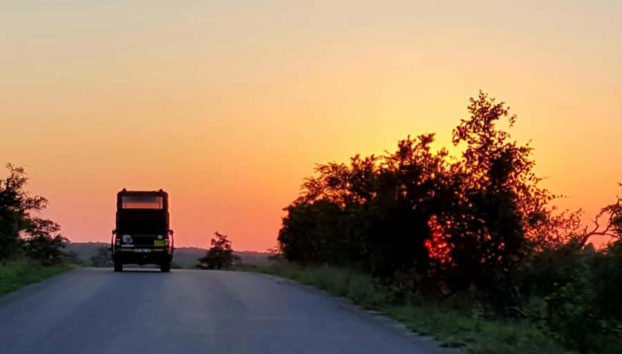 Kruger National Park: Full-Day Private Safari With Pickup - Why the early hours matter in Kruger